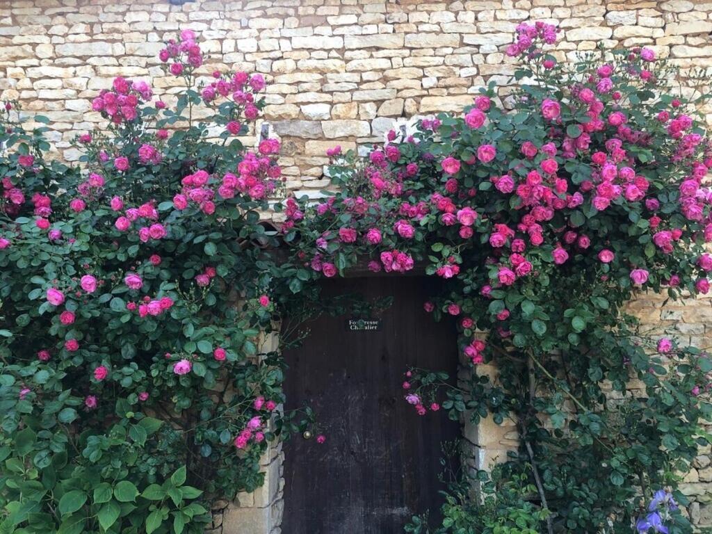 Blacksmiths Cottage In Blanzay - 3 Beds Luaran gambar